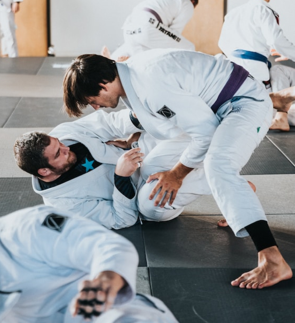 Ju-Jitsu-Oltremare-01.jpg